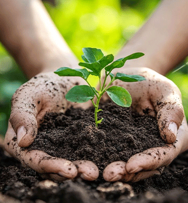J H landscapes and gardening
