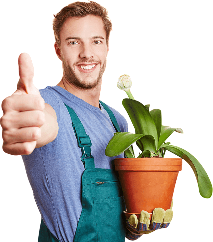 J H landscapes and gardening