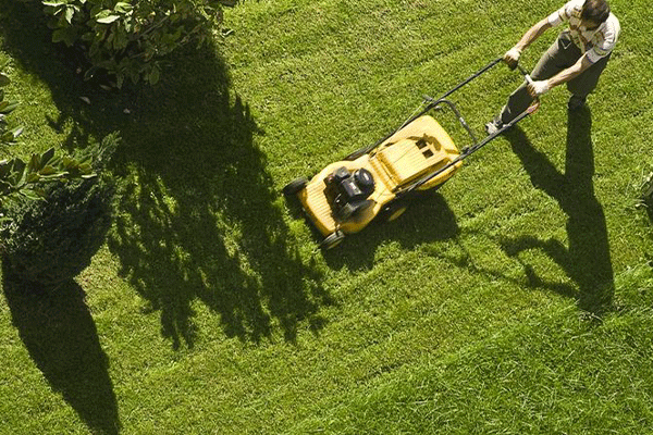 J H landscapes and gardening