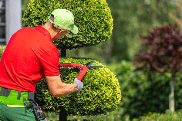 J H landscapes and gardening