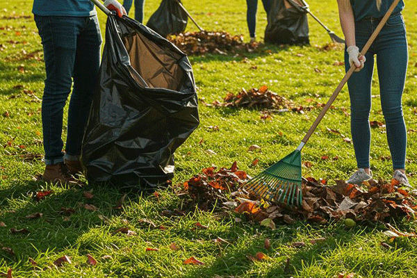 J H landscapes and gardening