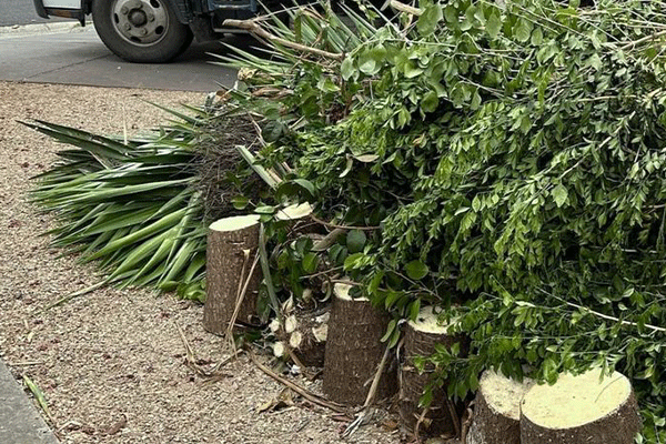 J H landscapes and gardening