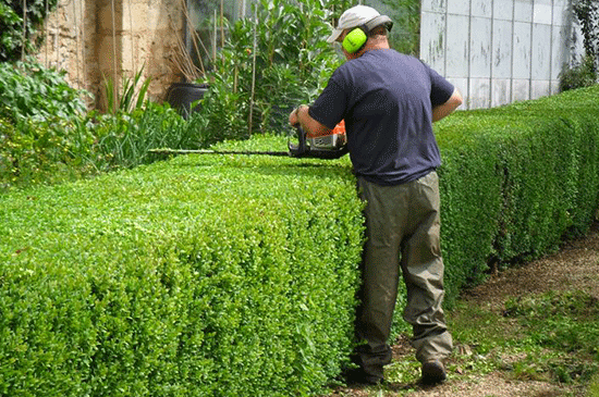 J H landscapes and gardening