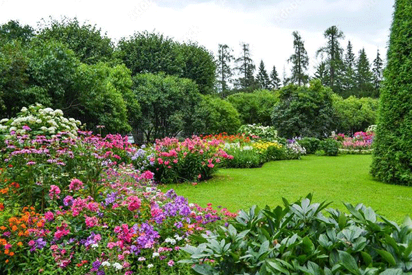 J H landscapes and gardening