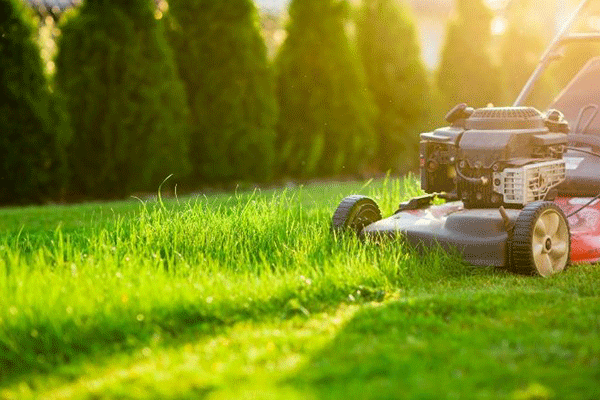 J H landscapes and gardening
